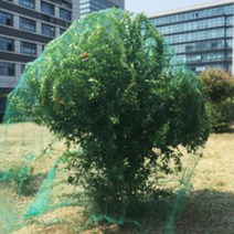 농작물 보호 그물 4x10M 새 방조망 고라니 야생동물 텃밭 과수 사과 감 나무 새보호망, 새그물4X10m, 1개
