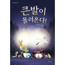 큰발이 몰려온다!, 한울림어린이