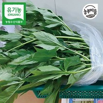 갤러리아 농부마음유기농 신선초 1kg 셀러리 비트 녹즙재료