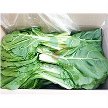 냉장 국내산 근대 외식용 4kg