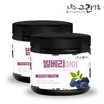 빌베리 아이 빌베리분말 300g, 2개