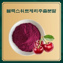 블랙스위트체리추출분말 50g 샘플, 단품, 1개