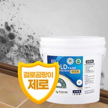 이지골드 친환경 규조토 페인트 4리터 결로 곰팡이, 67. 시내10