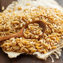 터키 호라산밀 2kg 영양 잡곡, 호라산 밀(터키) 2kg