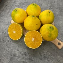 제주황금향 감귤 고당도 선별 산지직송 가정용 선물용 2kg 3kg 5kg, [선물가방포함] 선물용17-25과 5kg