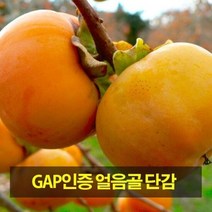 [우수농산물인증]밀양 얼음골 단감 5kg 21~23과, 단품
