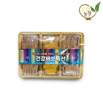농장 직송 자연재배 영지버섯 상황버섯 560g 선물세트2