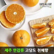 이츠올릿 제주도 고당도 천혜향 감귤 5kg (선물용 중대 15-24과) 제주 하우스 귤 택배 선물 세트, 상세페이지 참조
