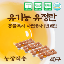 [올계] 유기농 유정란 난각 번호 1번 동물 복지 무항생제 자연방사 계란 달걀 10구 x 4세트 = 40구