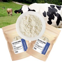 99% 고함량 WPI 분리유청단백질 분말 미국산 분리유청단백질, 500g