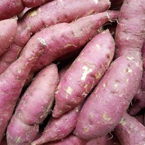 가족이야기 햇 밤고구마 고구마 간식, 1박스, 밤고구마못난이 5kg(사이즈 랜덤)