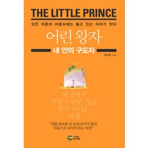 어린 왕자: 내 안의 구도자:모든 어른의 마음속에는 울고 있는 아이가 있다, 수신제, 박규현 저
