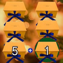 더알리오 홀리데이 에디션 5+1