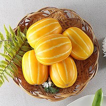 지안농산 당도보장 산지직송 알뜰 성주 꿀참외 2kg, 1box, 꿀 참외 알뜰형 2kg(대과)