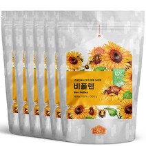 비옴 스페인산 벌화분, 6개, 300g