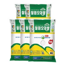 농협 산지직송 철원 오대쌀 4kg 당일도정 자연선생, 5개