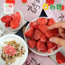 [프레시데이] [농협] 생딸기그대로 동결건조 딸기칩 나는딸기얌 7봉 (12g/봉), 상세 설명 참조