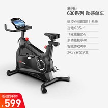 재활 자전거 어르신 싸이클 재활치료용 스피닝 재활훈련, (재활실내자전거/블랙/블루투스APP/음소거)