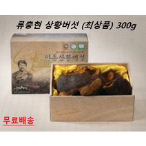 최상품 류충현 약용버섯 국내산 국산 뽕나무 상황버섯 참나무 고급 버섯 선물세트 300g