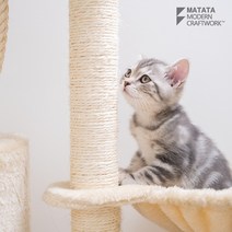 고양이 캣츠 캣타워 스크래처 먼지개선 면줄 면로프(약72미터)