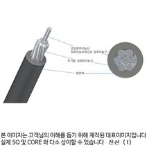 BK전선 ACSR AW OC 22.9Kv 58SQ M단위판매 130259, M단위판매 E099888