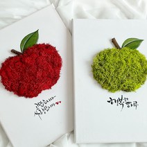 스칸디아모스 이끼 풍수 사과 액자 집들이 축하 핸드메이드 인테리어 그림 선물, 03.어텀