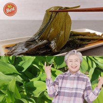 강원도 명이나물 장아찌 절임 1kg 2kg 1키로 2키로 명이나물 짱아찌 산마늘 울릉도 종 산명이나물 명이절임 명이나물잎 명의나물 봄나물, 명이나물 (절임)장아찌 1kg