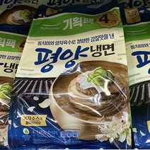 풀무원 평양물냉면 4인 1692g, 아이스박스 포장