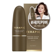 테라픽 헤어 리-터치 커버스틱 8g, 브라운, 1개