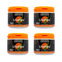 라이토플렉스 로즈힙 파우더형 300g 덴마크산 4통 Litoflex Rose Hip, 4개