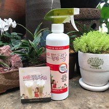 클린팡 식물 살균제 원예용 화분 곰팡이제거, 클린팡 분무기 500ml