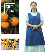 산지직송 제주 서귀포 한라산 농장 노지 감귤 10kg 당일수확 밀감