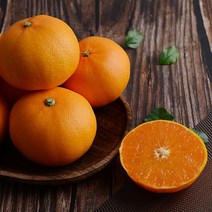 제주 천혜향 특대과 3kg 7-12과, 천혜향 3kg 8-10과[선물포장]