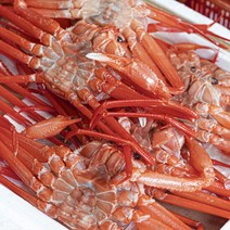 [후레쉬] 동해 대게홍게 총3kg (10~12마리) / 국내산, 단품