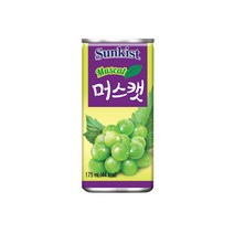 해태 머스캣 175ml x 총30개 머스캣맛음료 샤인머스캣맛 포도음료 포도주스 작은캔 캔음료