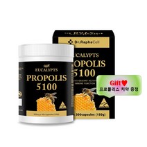 닥터라파셀 호주 유칼립투스 프로폴리스 5100 300캡슐 3중기능성, 1box