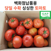 [고당도백화점납품용] 마미템 완숙 찰토마토 3kg 5kg 10kg 소과 대과 정품 못난이, 5kg 소과, 1개