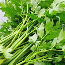 친환경 무농약 유기농 신선초 1kg 2kg, 신선초 2kg