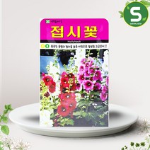 접시꽃씨앗 100립, 단품