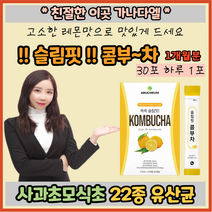 아르채움 슬림핏콤부차30포 콤부차 콤부티 콤부차분말 무수구연산 타피오카식이섬유 유산균 프락포올리고당 녹차 홍차 유익균 레몬맛 사과초모식초 15% 22종유산균 유기산 스틱 가루