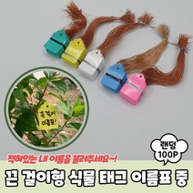 표찰 식물 중 끈 꽃이름표 걸이형 화분픽 꽃팻말 수목 이름표 100P 태그, 끈 걸이형 식물 태그 이름표 중 100P