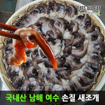 이츠올릿 국산 남해 여수 손질 새조개 500g 제철 코끼리 남당리 남당항 택배, 새조개500g
