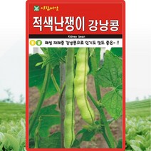 적색난쟁이강낭콩 씨앗 강낭콩 씨 종자 30g, 1개