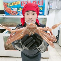 [당일조업] 포항 구룡포 제철 홍게 대게 자숙 고급형 10마리, 단품