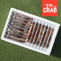 선동 초코오징어 20미 30미 국내산 생물 냉동오징어, 1box, 25마리 (5-6kg)