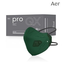 아에르 Pro QX200F (프로 큐엑스) 1급 방진마스크 1BOX (10개입) / 냄새제거용 활성탄 첨가/산업용 공사현장 분진 용접용, 아에르 PRO QX200F 1급 방진 (그린), 10개입, 1개