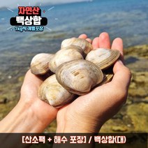 백상합 상합 백합 생합 백생합 조개탕 조개찜, 3kg, 백상합(대), 1개
