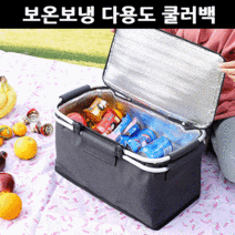 라온텐 보온 보냉 쿨러백 캠핑 피크닉 도시락가방, 블루