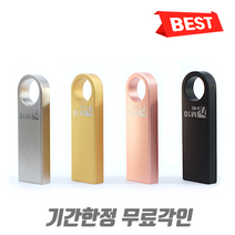 USB메모리 한개도 무료각인 학교 로고, 32GB, 실버