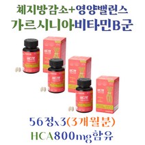 내장지방 피하지방 감소 다이어트 가르시니아 HCA 체지방량 뱃살 빼기 비타민B군 A D E 와일드망고종자 레몬밤 히알루론산 40대 갱년기 영양제